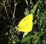 [heos-1mv.jpg]