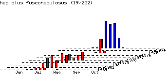 [fusconebulosa-stats.gif]