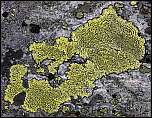 [geographicum-1.jpg]